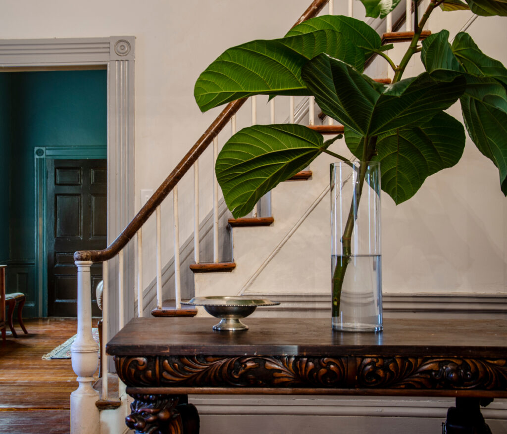 Interior of Rockwell House, entryway of home with grand staircase and large green clipping in a vase